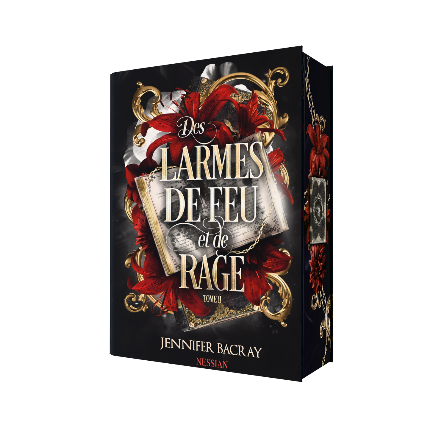 Des Larmes de Feu et de Rage tome 2