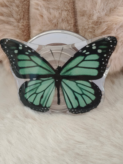 Poignée liseuse Papillon vert